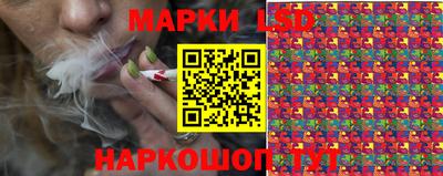 крисы Бийск