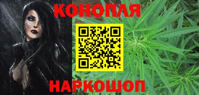 крисы Бийск