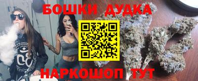 крисы Бийск